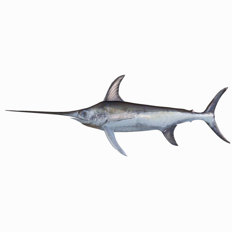 Swordfish SwordfishGear