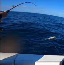 Load image into Gallery viewer, UC Standup Swordfish-Tuna Rod. 60-100