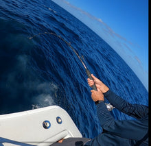 Load image into Gallery viewer, UC Standup Swordfish-Tuna Rod. 60-100