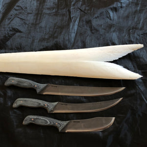 Fish Pro 8” Fillet Knife. Anza Knives