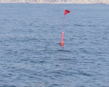Load and play video in Gallery viewer, The Ultimate Swordfish Buoy. (West Coast)
