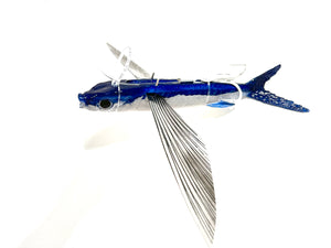 Flying Fish - Sea Monster